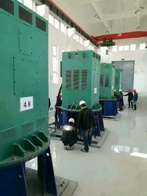 Y500-8B某污水处理厂使用我厂的立式高压电机安装现场生产厂家