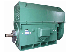 Y500-8BYKK系列高压电机