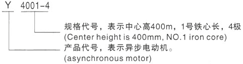 西安泰富西玛Y系列(H355-1000)高压Y500-8B三相异步电机型号说明